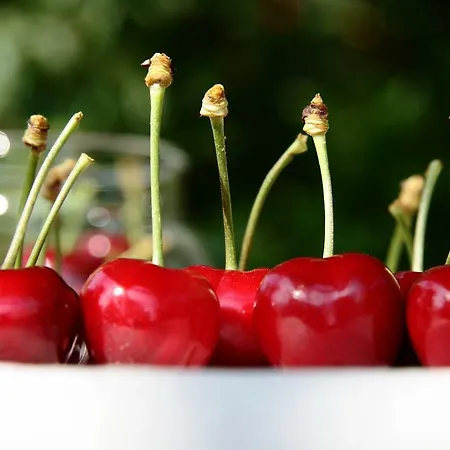 I Calleri Garden And